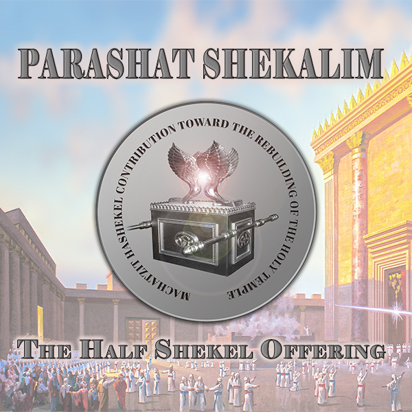 Half Shekel Offering